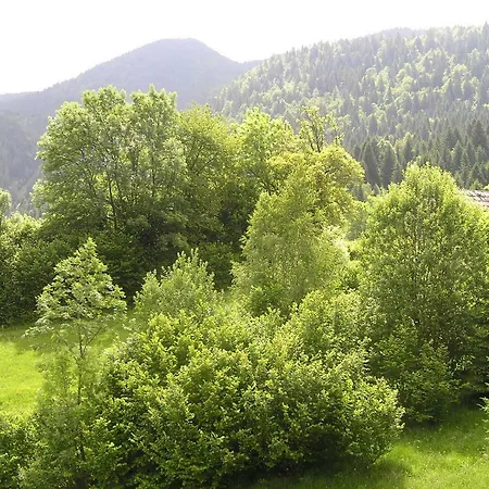 Apartament Apartma Ravne *